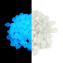 Load image into Gallery viewer, Party Zealot Glow in the Dark Pebble