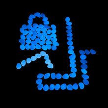 Load image into Gallery viewer, Party Zealot Glow in the Dark Pebble